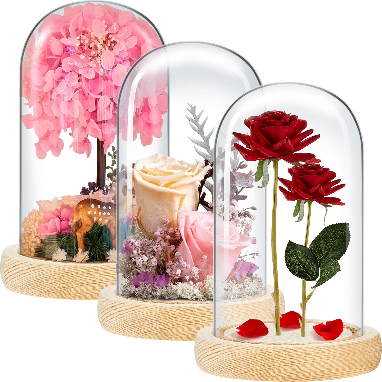 3 Pieces 8 x 4.7in Glass Cloche Display Dome, 4.7 x 8 In, Wood Color