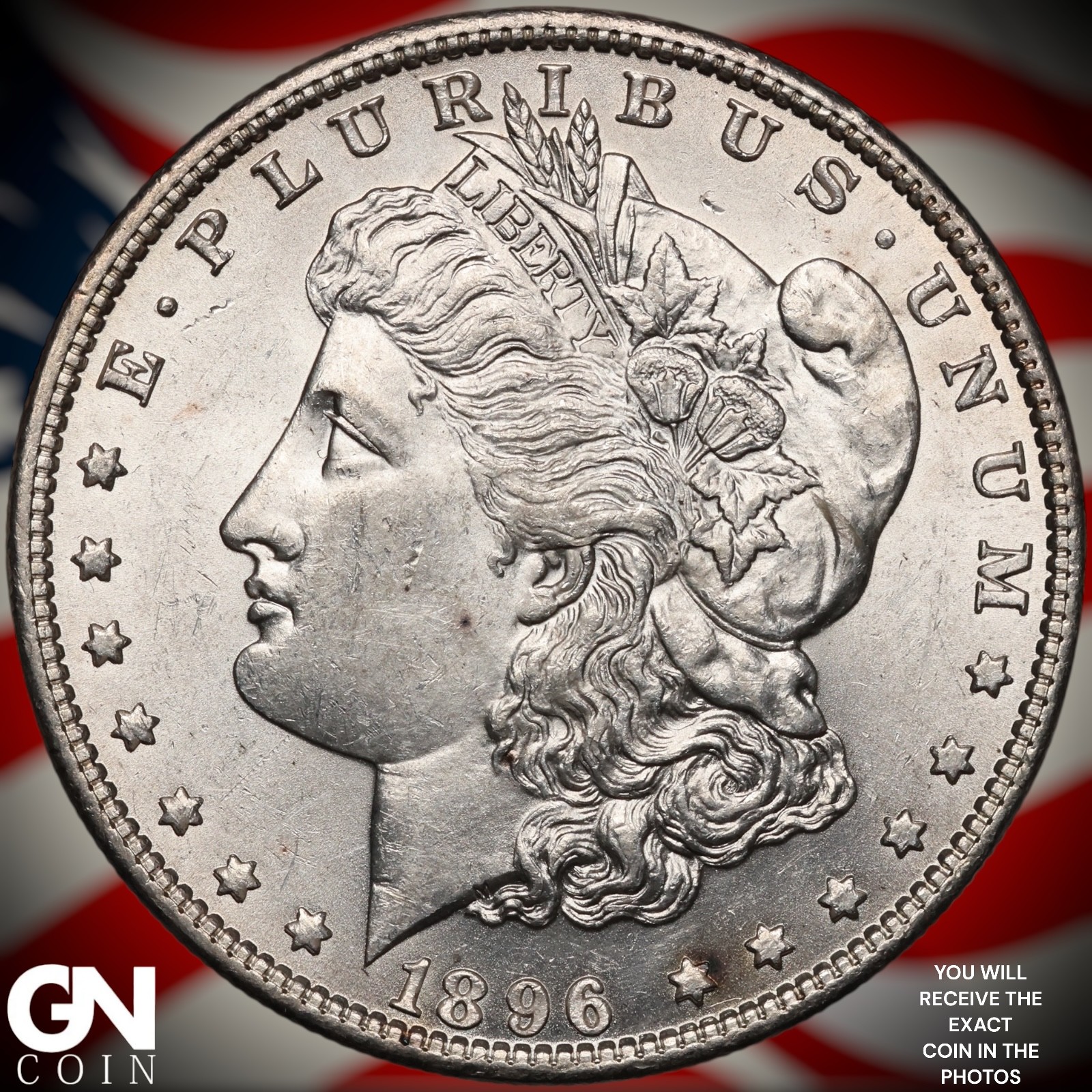 1896 P Morgan Dollar A9882