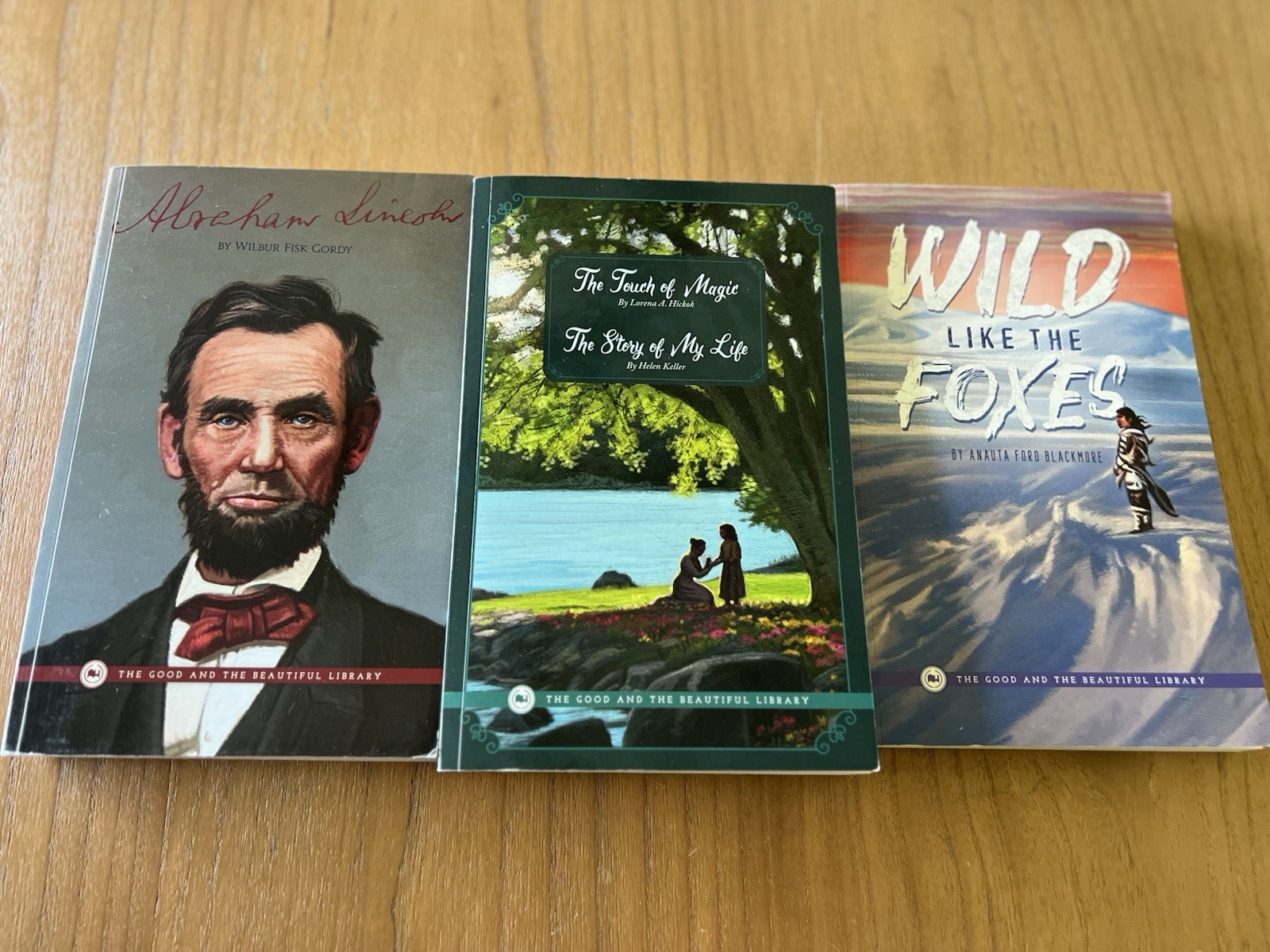 The Good and The Beautiful Level 8 Literature Chapter Books. Lot of 3