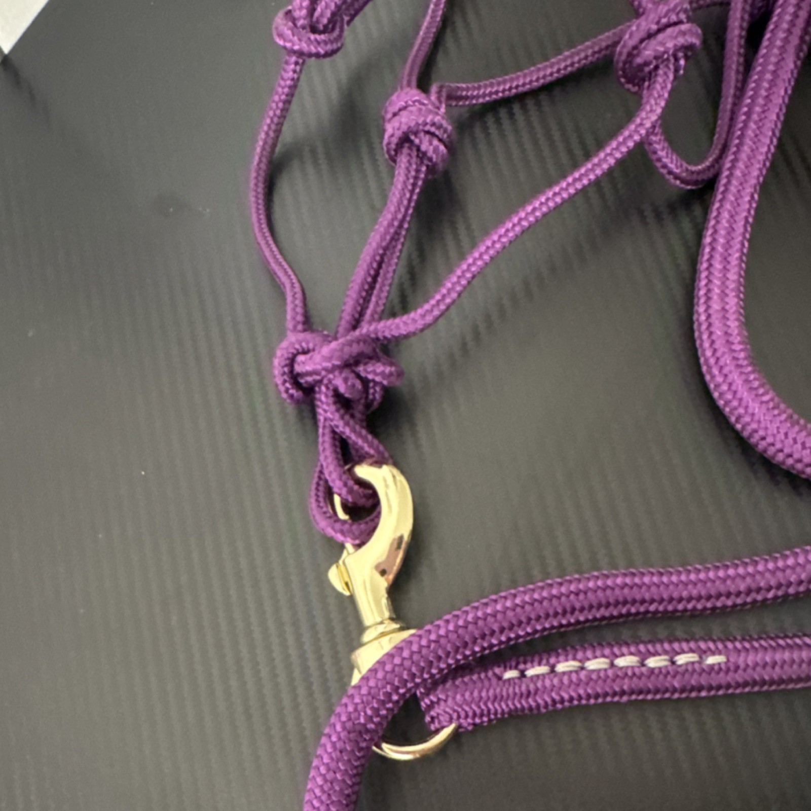 Star Point Horsemanship 4 Knot Nylon Halter & Lead Rope Set Purple medium