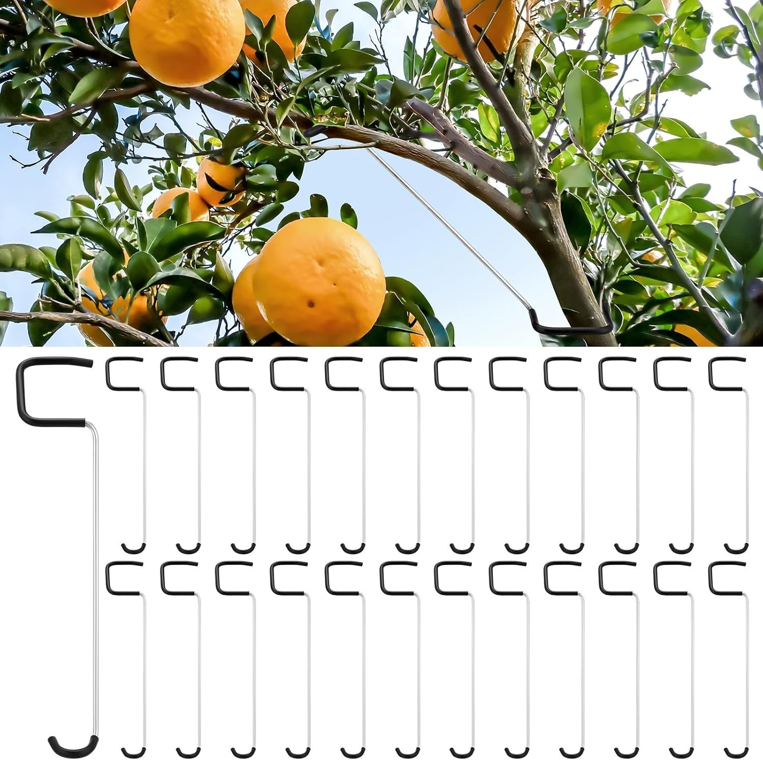 Reusable 7-Inch Branch Spreader for Fruit Trees - Easy Installation & Protection