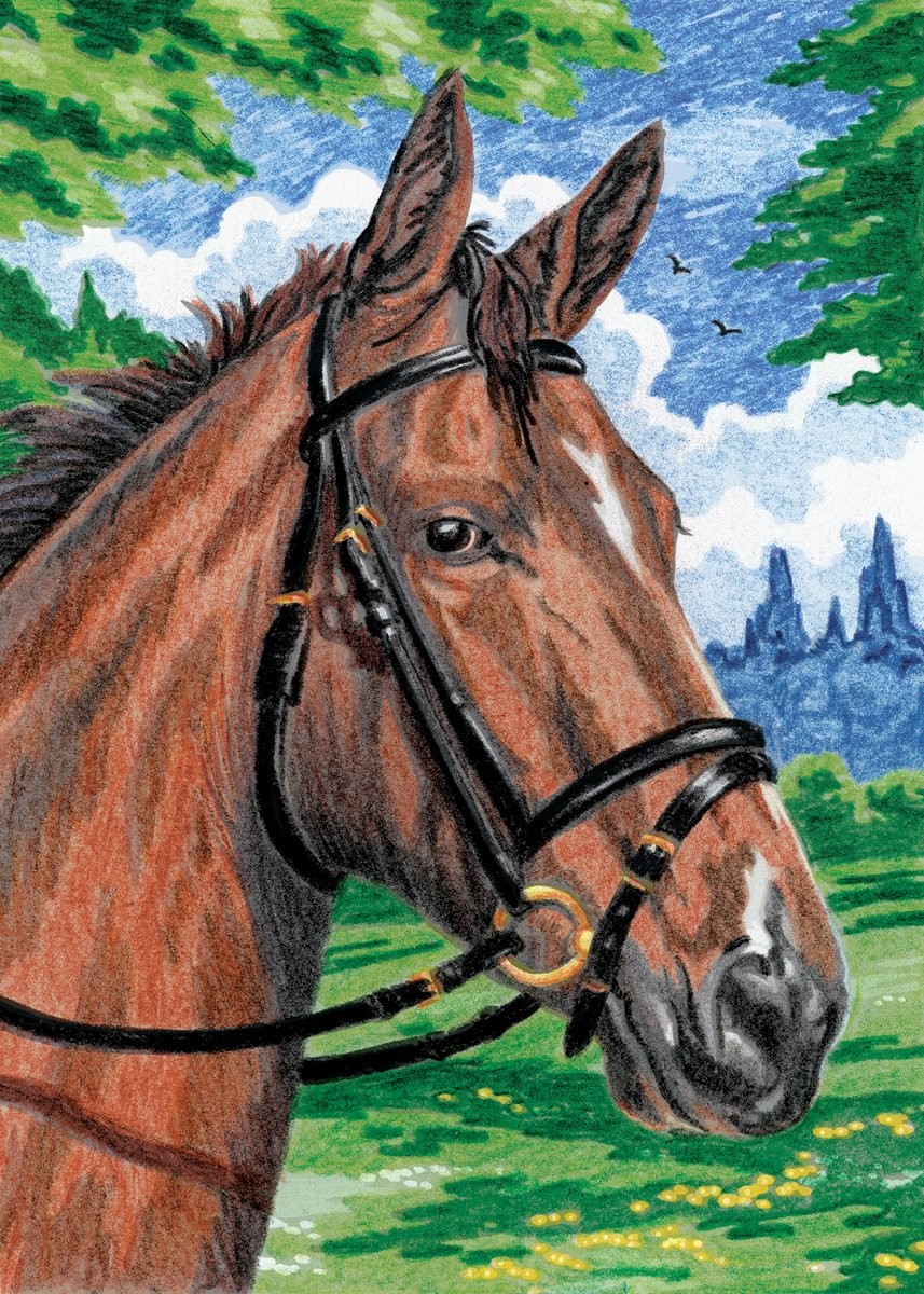 Royal & Langnickel Mini Colour Pencil By Number Kit: 5x7 12 Piece Set, Horse