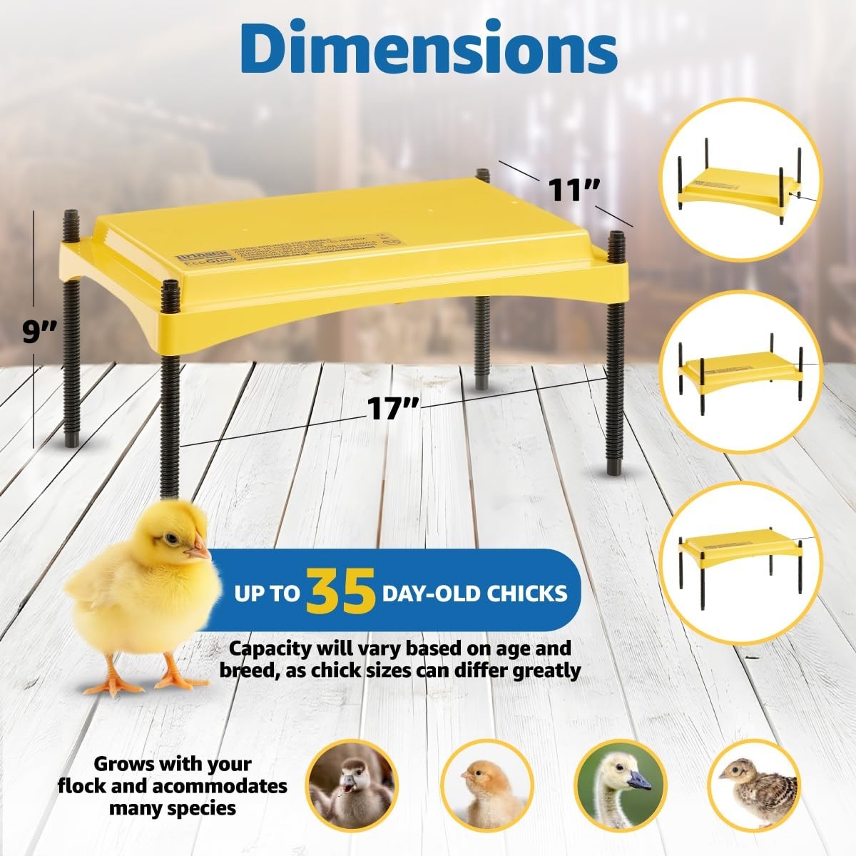 Chick & Duckling Brooder Plate - Height Adjustable 18W, Safe Low Voltage Heat, U