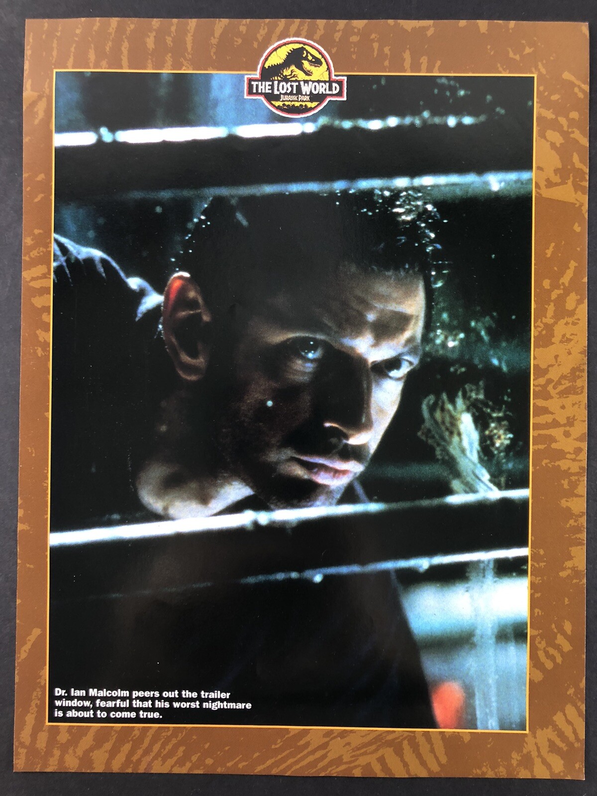 Dr Ian Malcolm - Jurassic Park The Lost World Poster 8x11