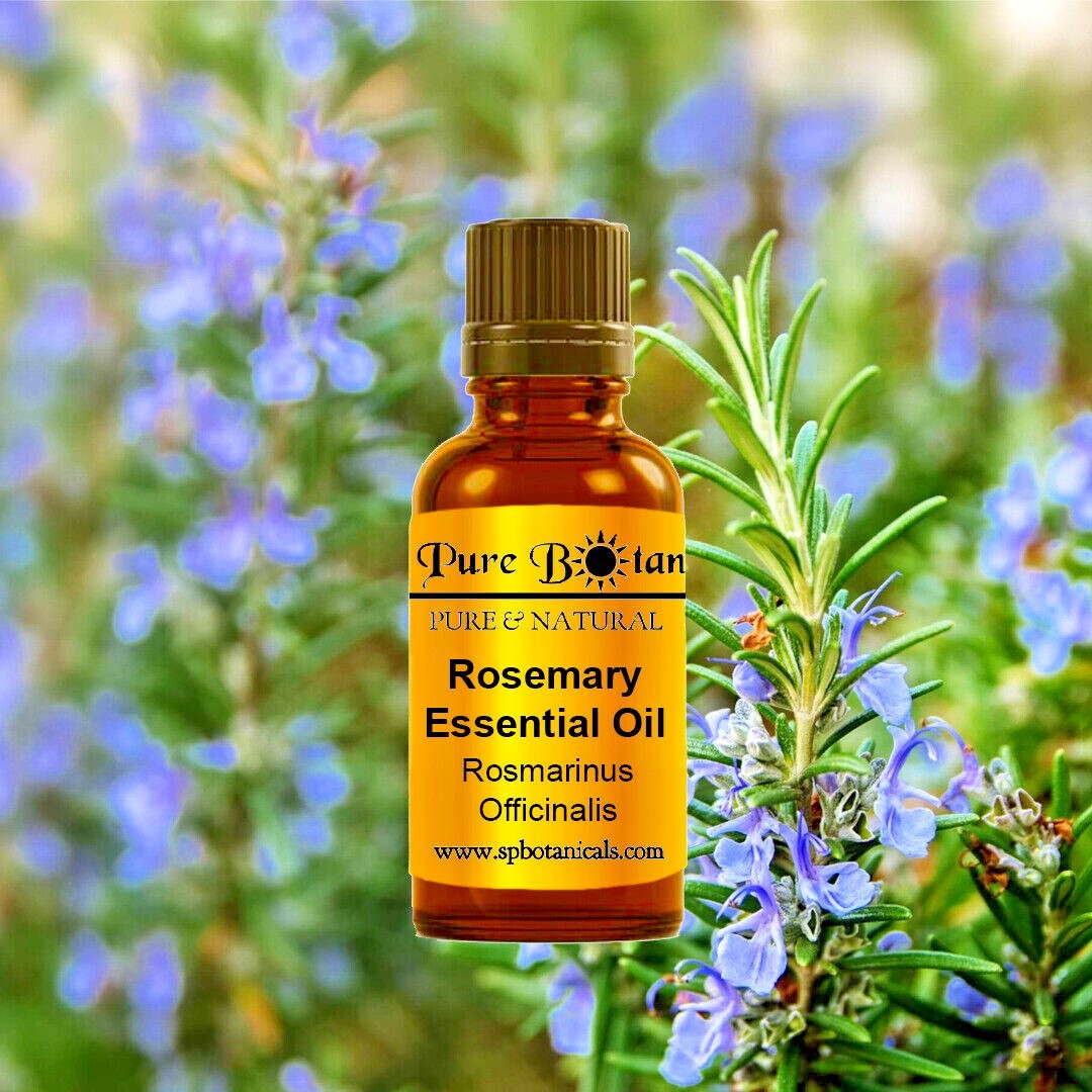 Rosemary Essential Oil 100% Pure & Natural Premium Therapeutic Grade - 4oz Glass