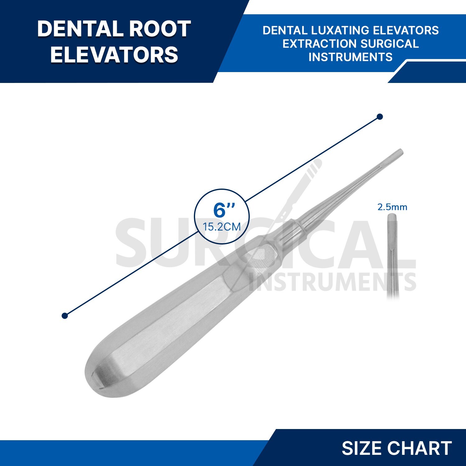 2 Pcs Dental Elevator Apical 301 Surgical Denture Instruments German Grade