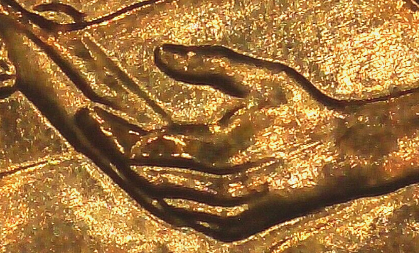 2009 P BU FY DOUBLED DIE REVERSE ERROR WDDR-031