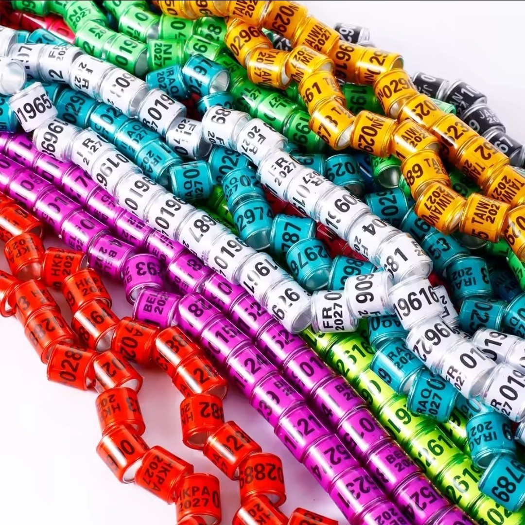 100 Pigeon rings 2027, ANILLOS DE PALOMAS 2027, 10 different color5