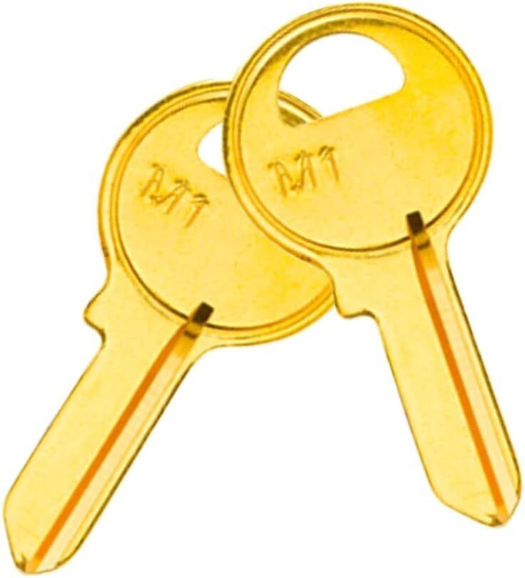 100PACK Brass Finish Key Blanks, M1 (MA1) Uncut Blank Keys .