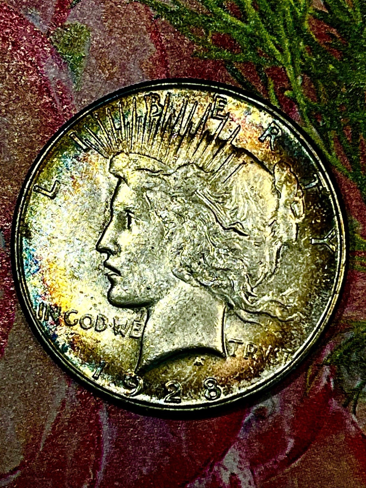 1928 S  Peace Dollar Beautiful Toned Gem