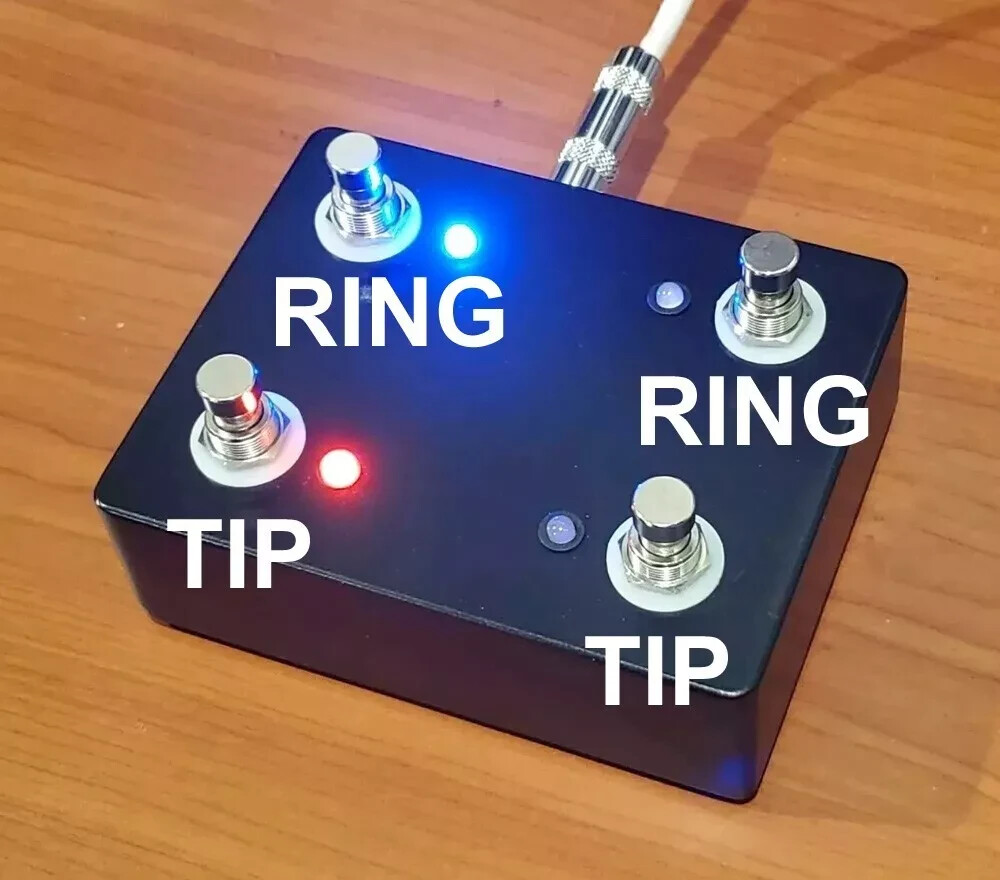 Custom 4-Button Footswitch for Madison Divinity with two 10-Foot TRS Cables