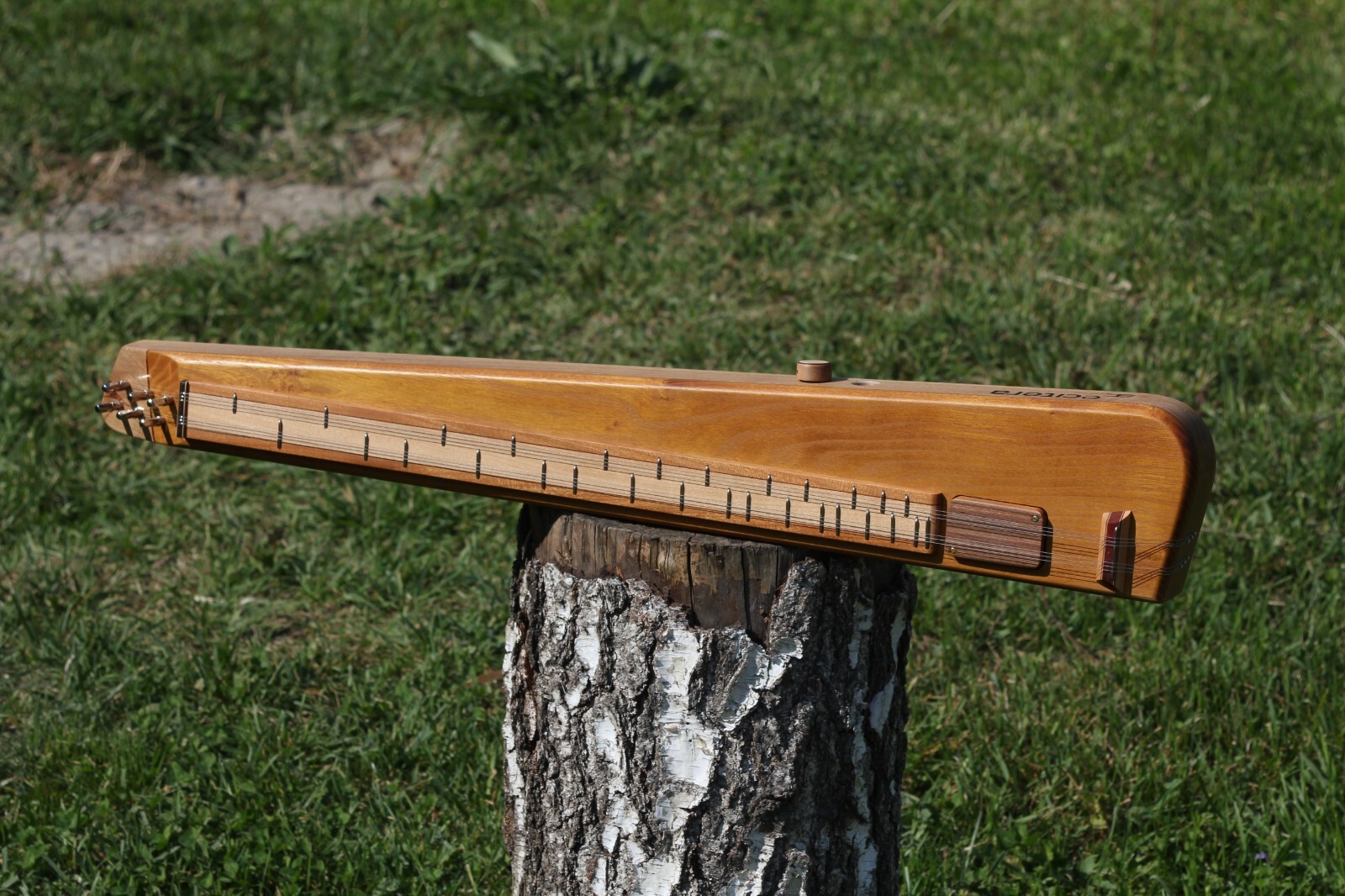 eCitera Electric Zither