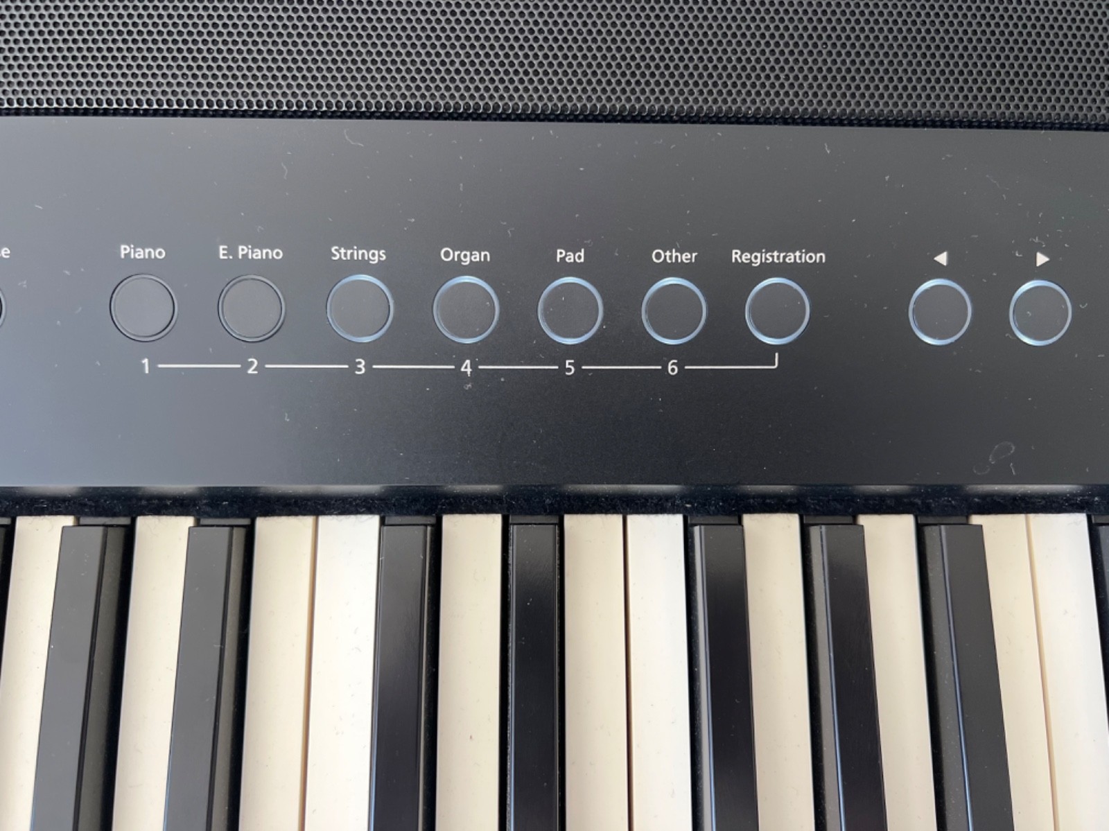 Roland FP-90 Digital Piano