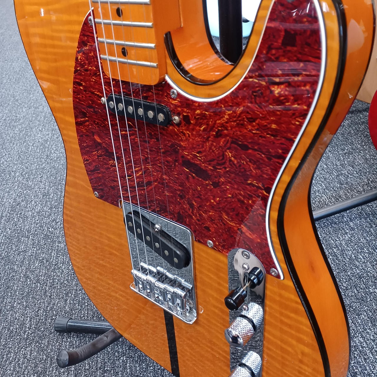 BILLS BROTHERS Telecaster Telecaster type