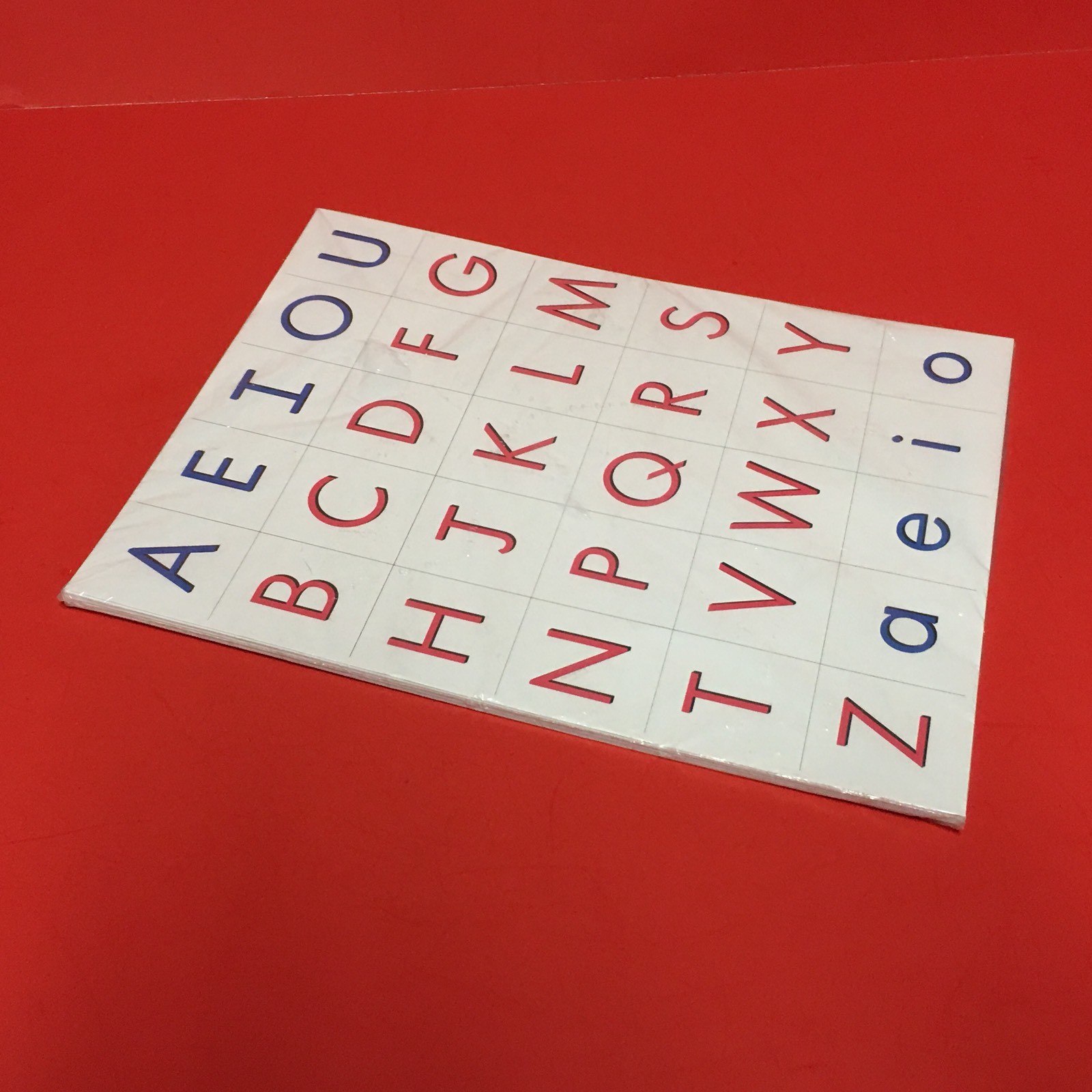 (Set of 4) Pink Series Montessori - MOVEABLE LETTERS  - 14 Laminated Sheets
