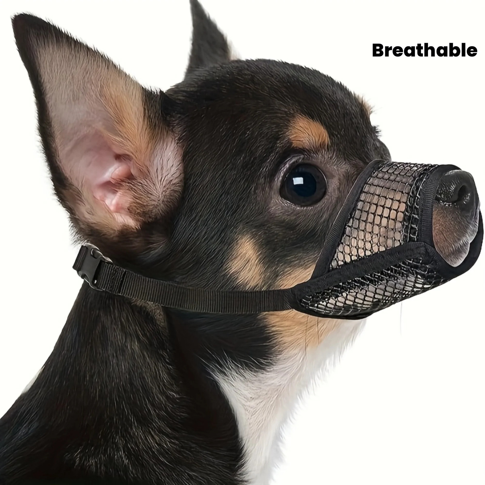 Mesh Muzzle for Short Snout and Small Medium Dogs Anti-biting, Focus on Brachyce