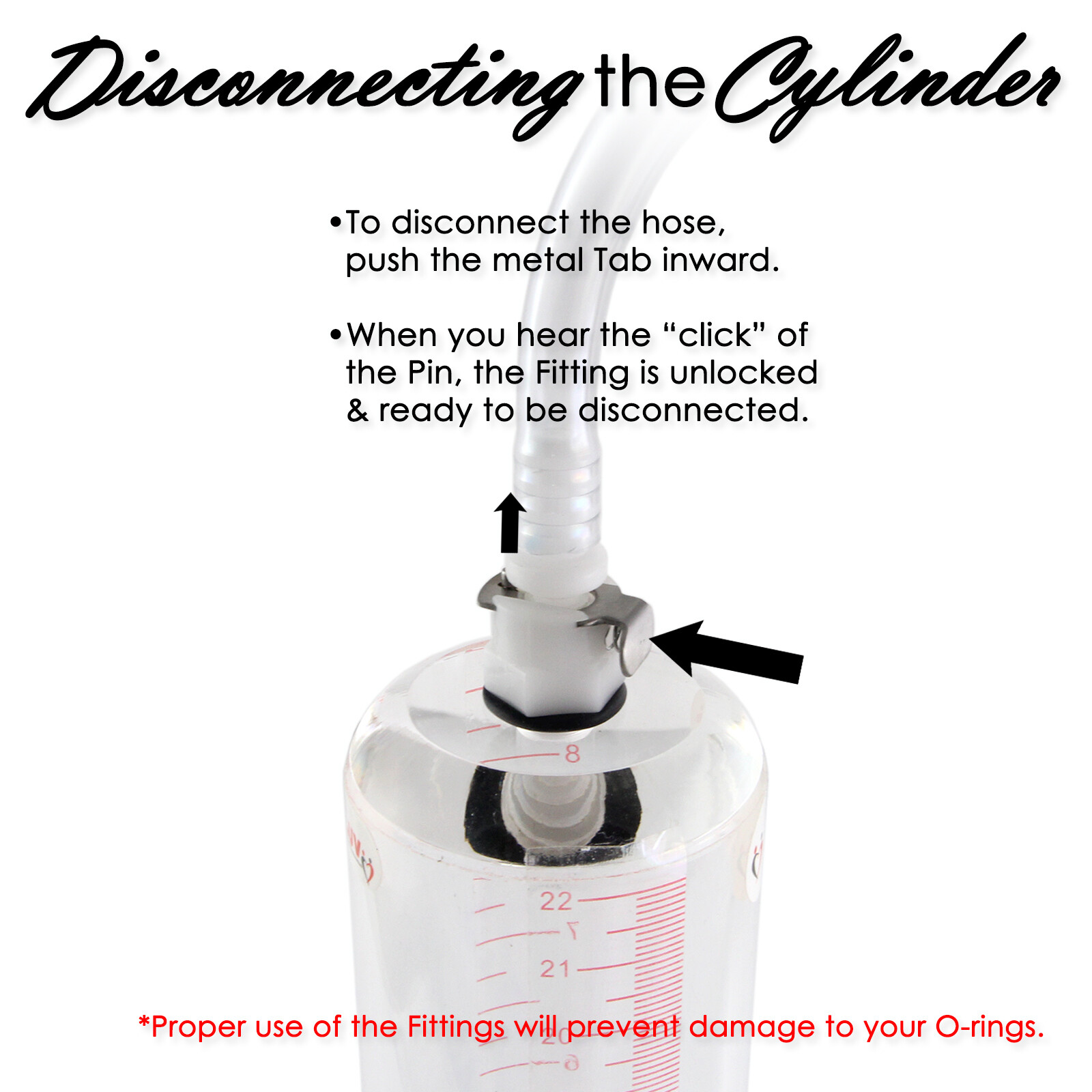 Replacement Pair Breast Cups and Quick-Disconnect Fitting for LeLuv Vacuum Pump