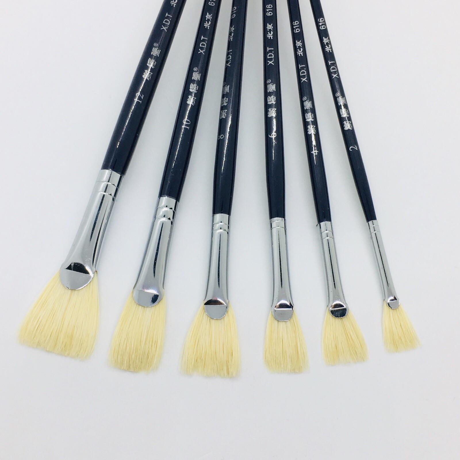 XDT#616-2 Fan Art Brush Set 6Pc #2#4#6#8#10#12 Hog Acrylic Oil Watercolor