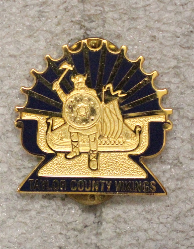Army ROTC DI Pin: Taylor County High School (Bulter, GA) - c/b, S-38