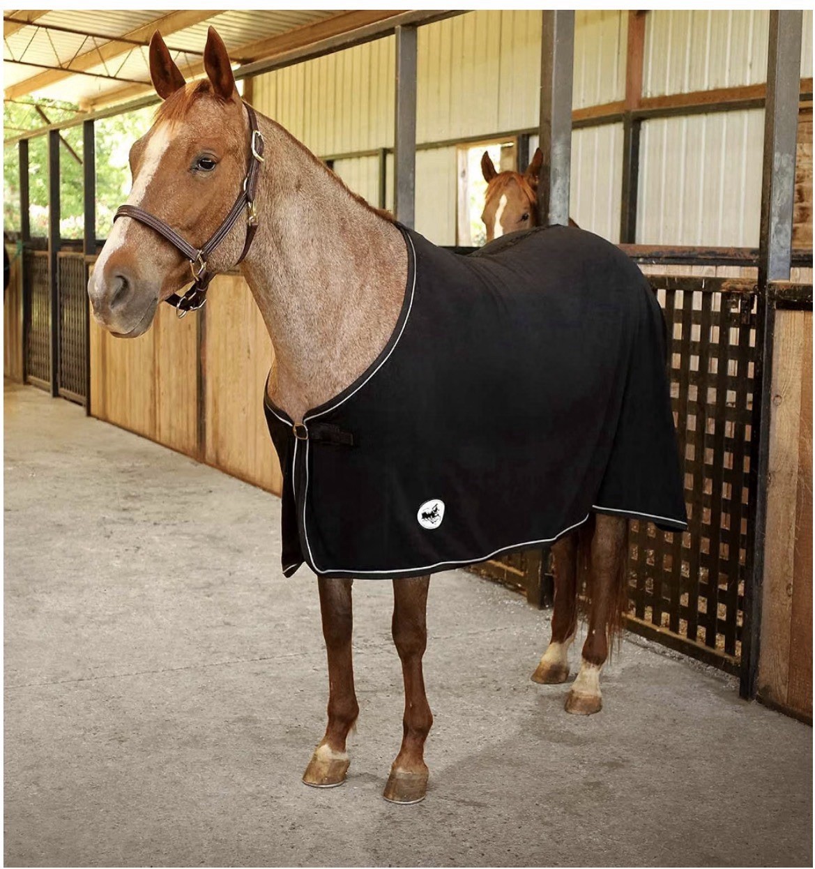 Horse Fleece Cooler, Blanket Liner - 300g Anti-Pilling Fleece, Moisture-Wicking