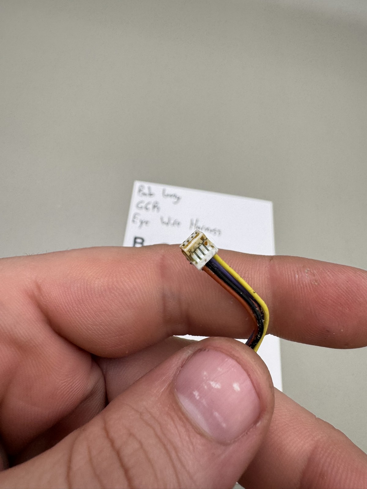 Bob Long G6R Eye Wire Harness