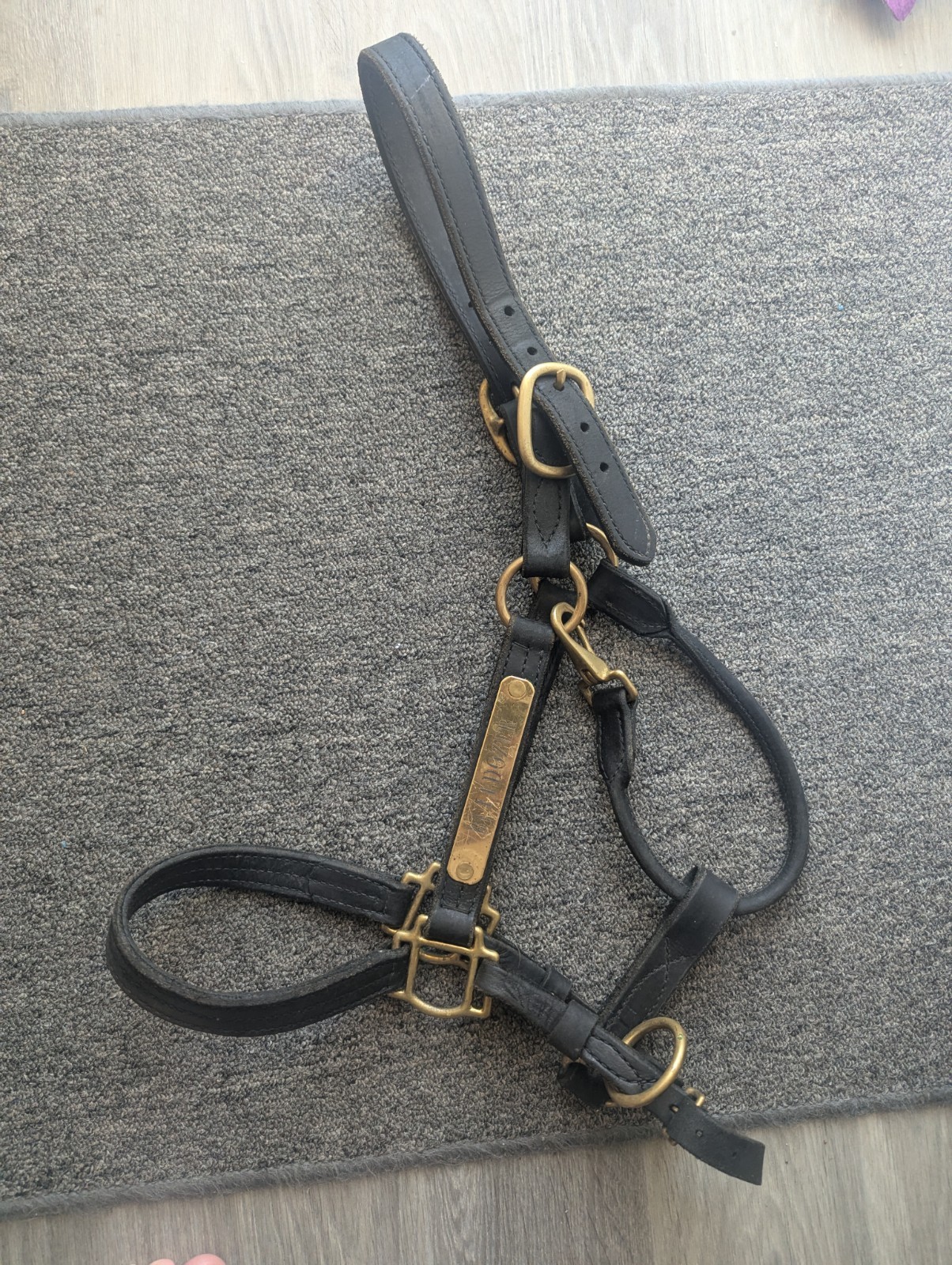 Used Leather Horse Halter