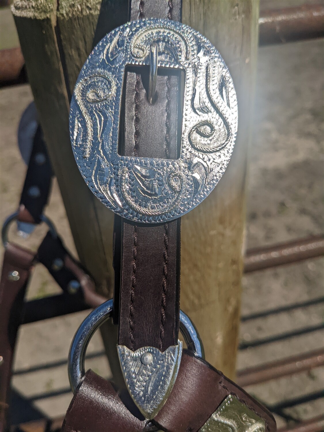 Silver Show Halter-Dark Oil Leather-Rope Design Horse Size-Matching Lead Shank
