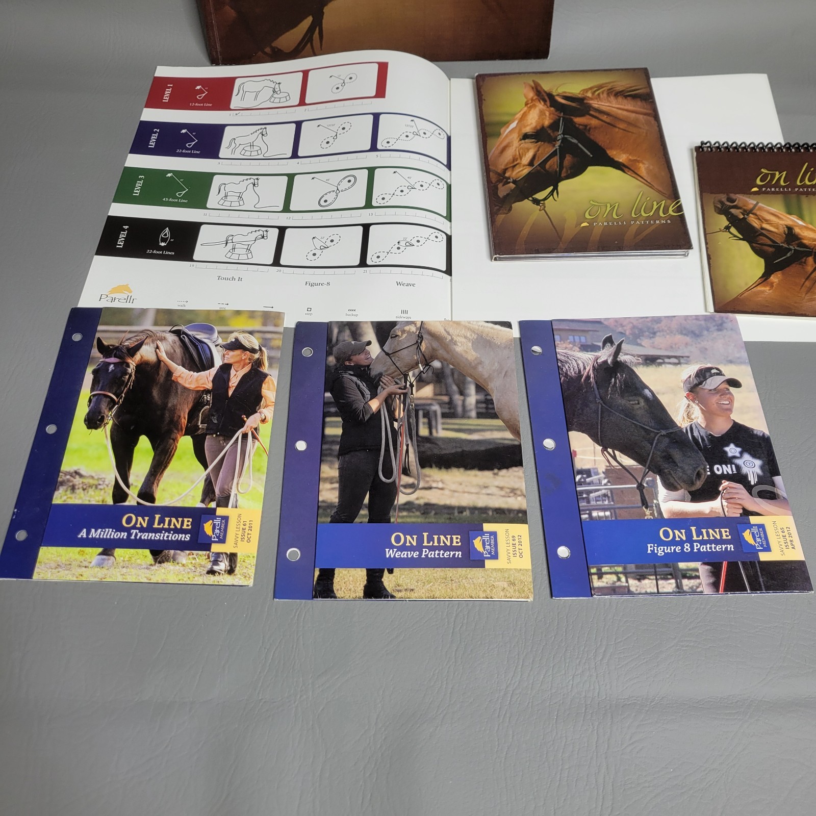 On Line Parelli Patterns - Natural Horsemanship Equine Training