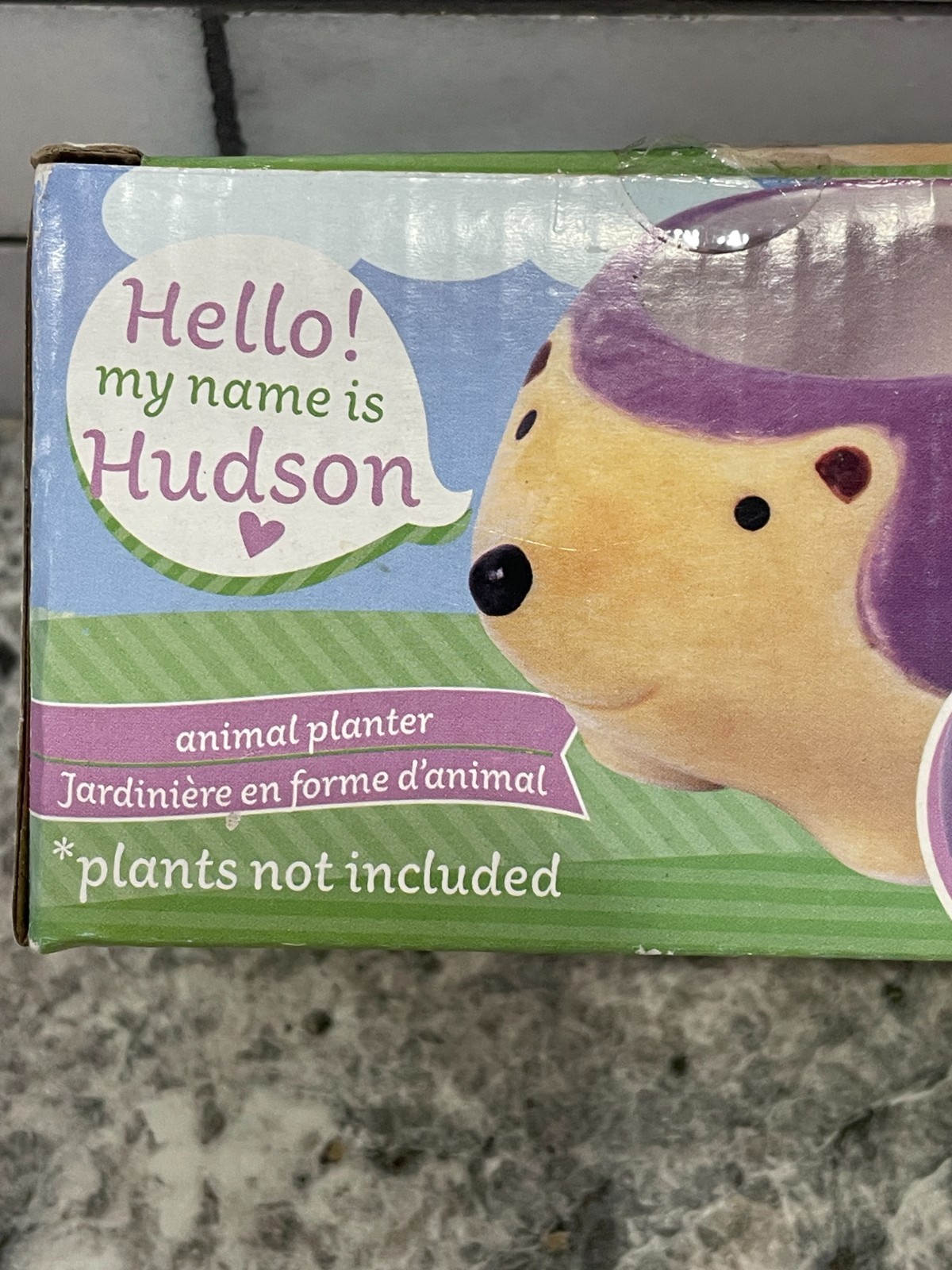 Hedgehog Animal Planter, "Hudson" Ceramic, *****New*****
