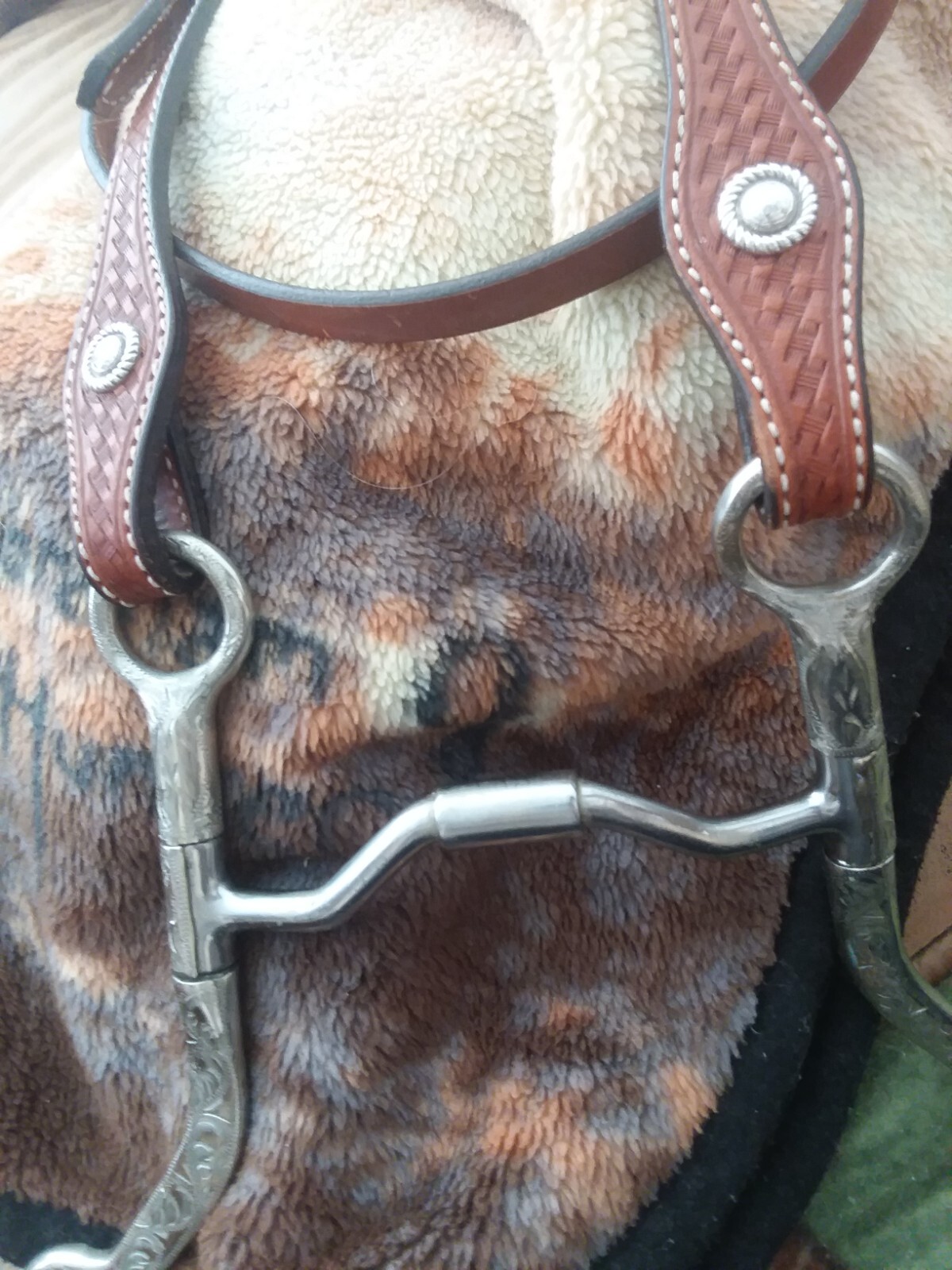 Tooled show bridle with sterling buckles, Fleming conchos & nice correction bit