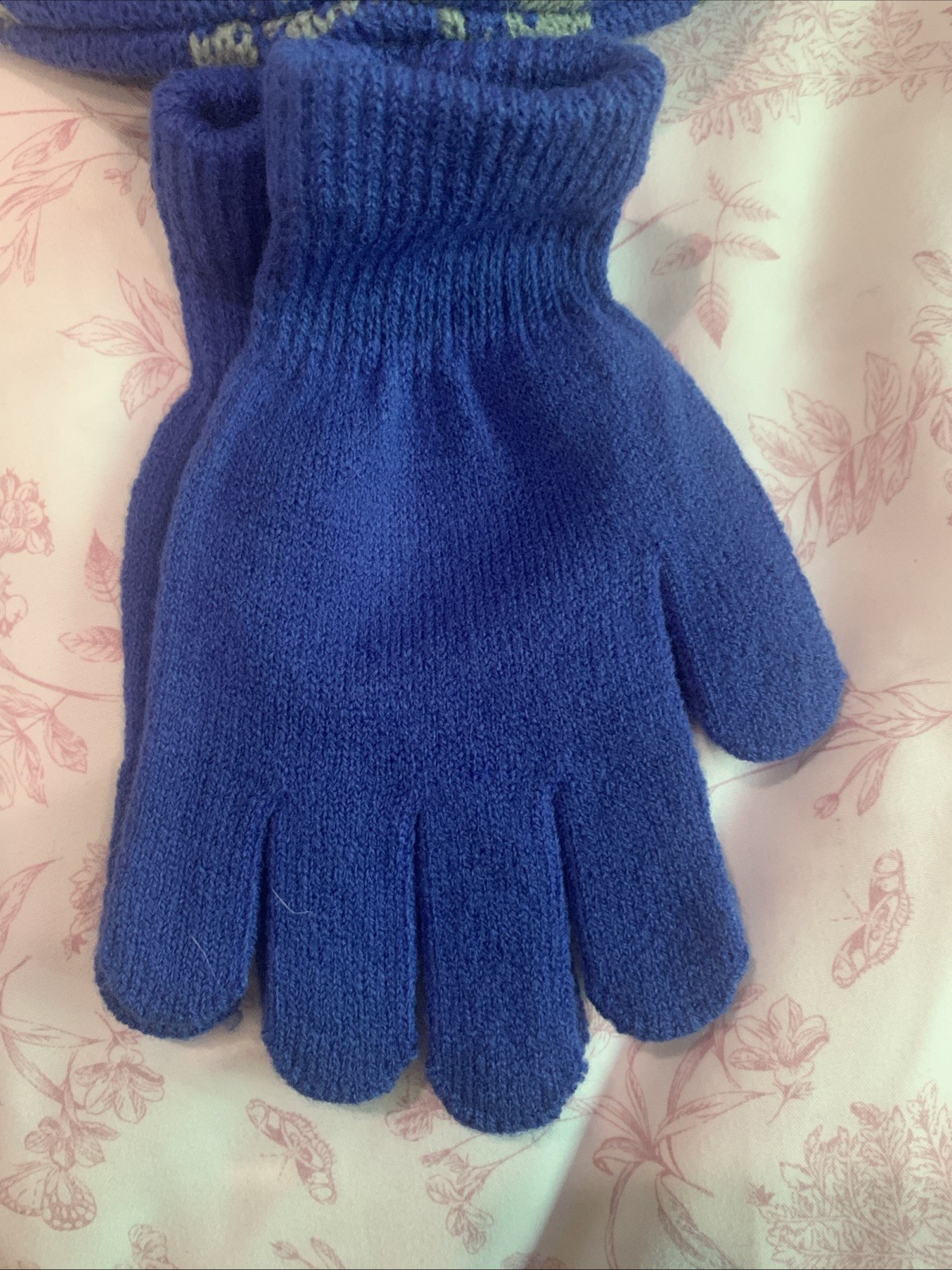 Boys Hat Glove One Size Dinosaur