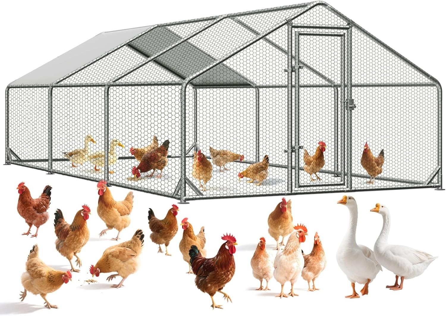 Large Chicken Coops for 20/30/50 Chickens,Outdoor Metal Walkin Poultry Cag US