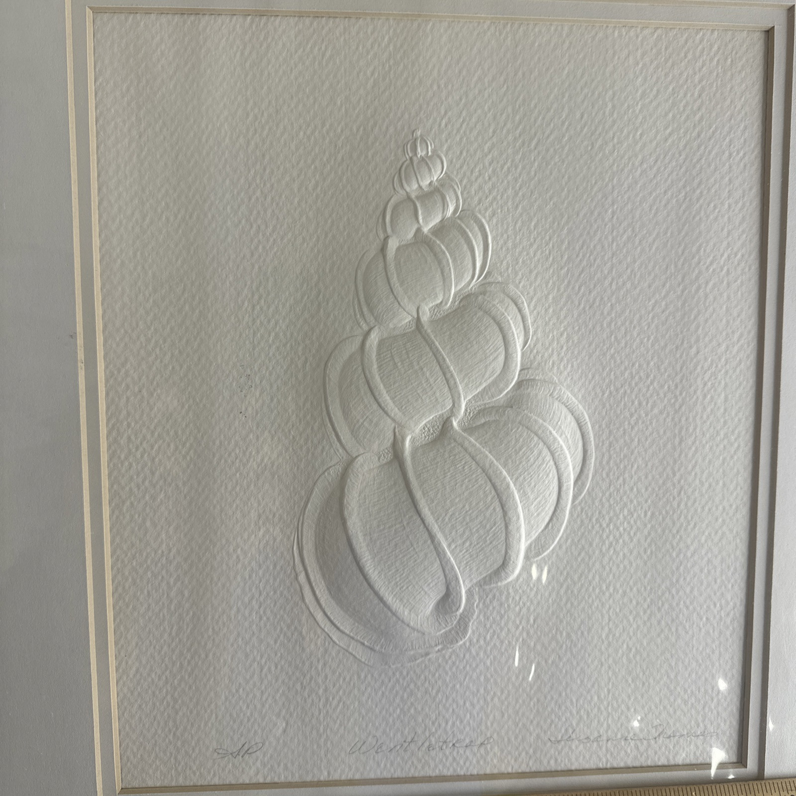 Suzanne Thomas Embossed  Shell  Artist’s Proof/AP Signed