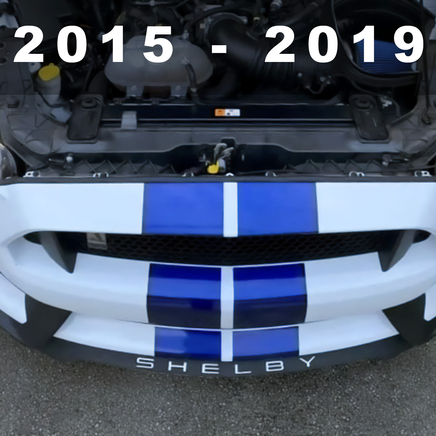 x2 WHITE Front Splitter PLASTIC LETTERS Fits Shelby GT350 2015 - 2019 NOT VINYL