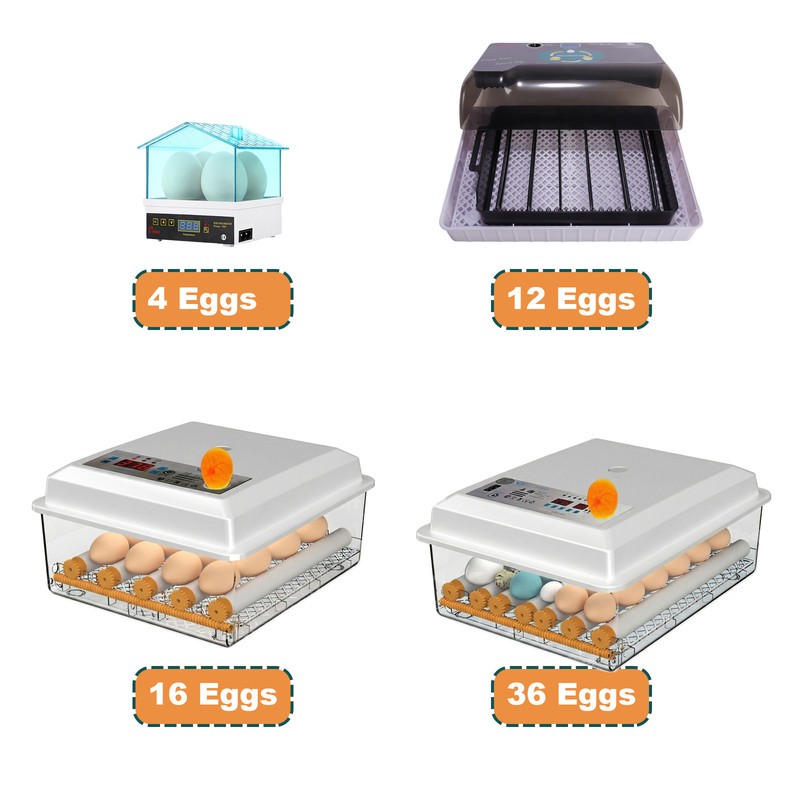 4/12/16/36Egg Incubator Chicken Hatcher Automatic Egg Turning TemperatureControl