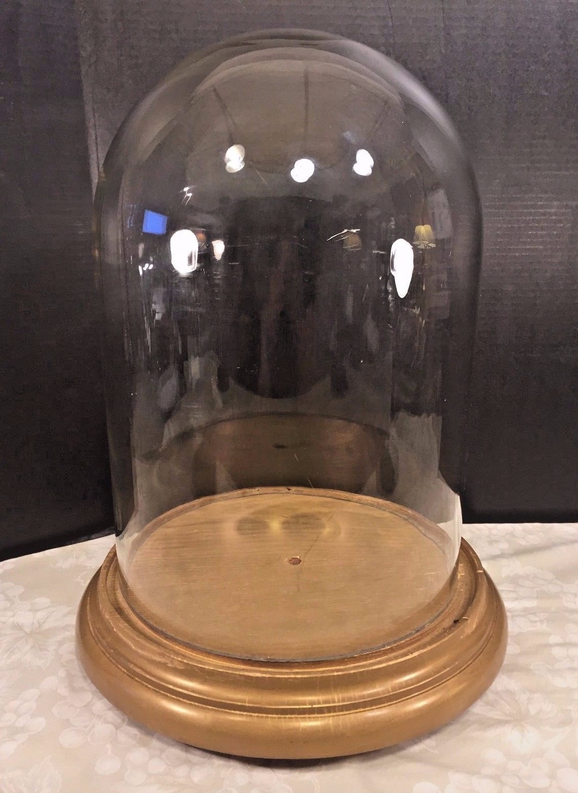 Antique Large Glass Display Dome on Gilt Wood Base on Legs