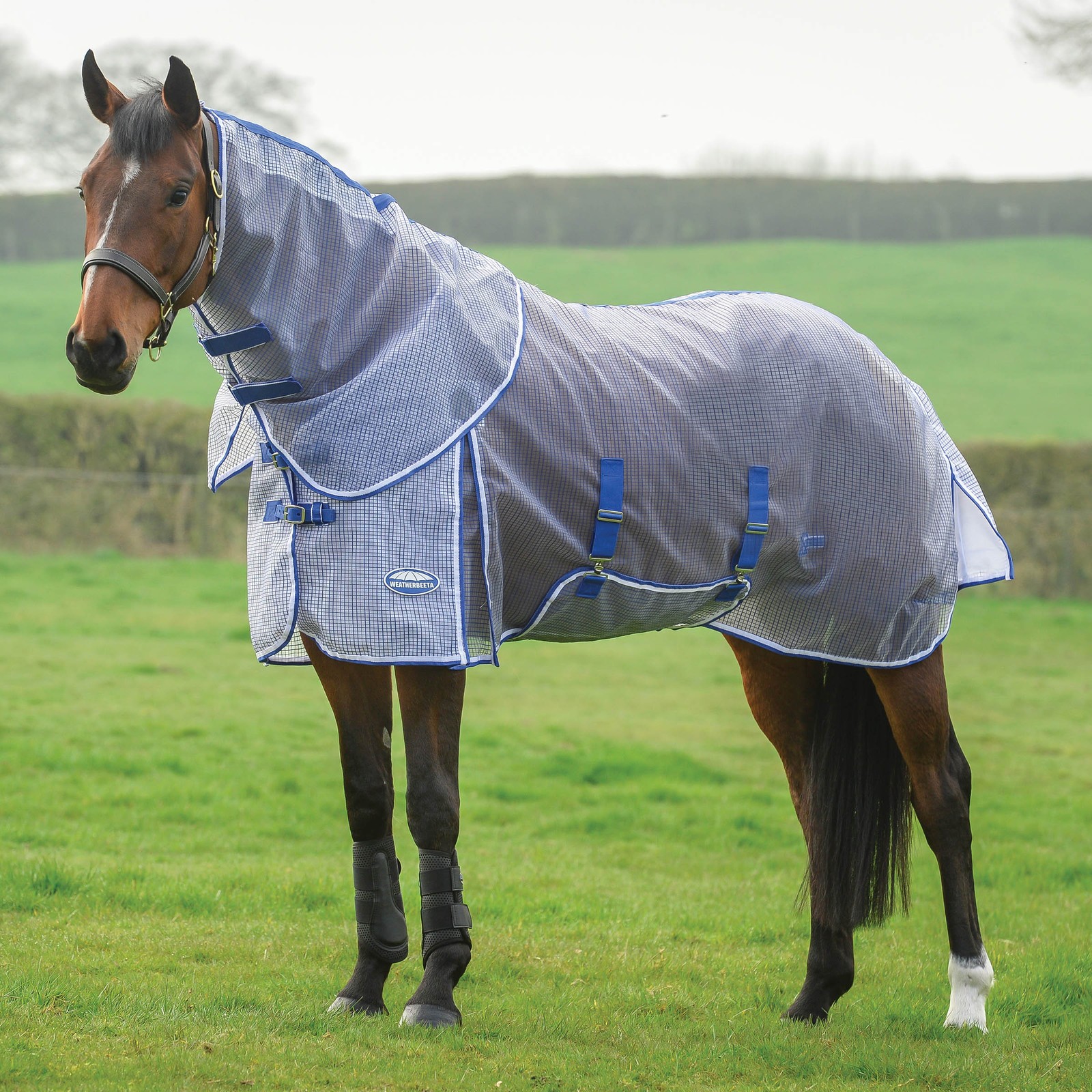 WeatherBeeta ComFiTec Ripshield Plus with Belly Wrap Detach A Neck