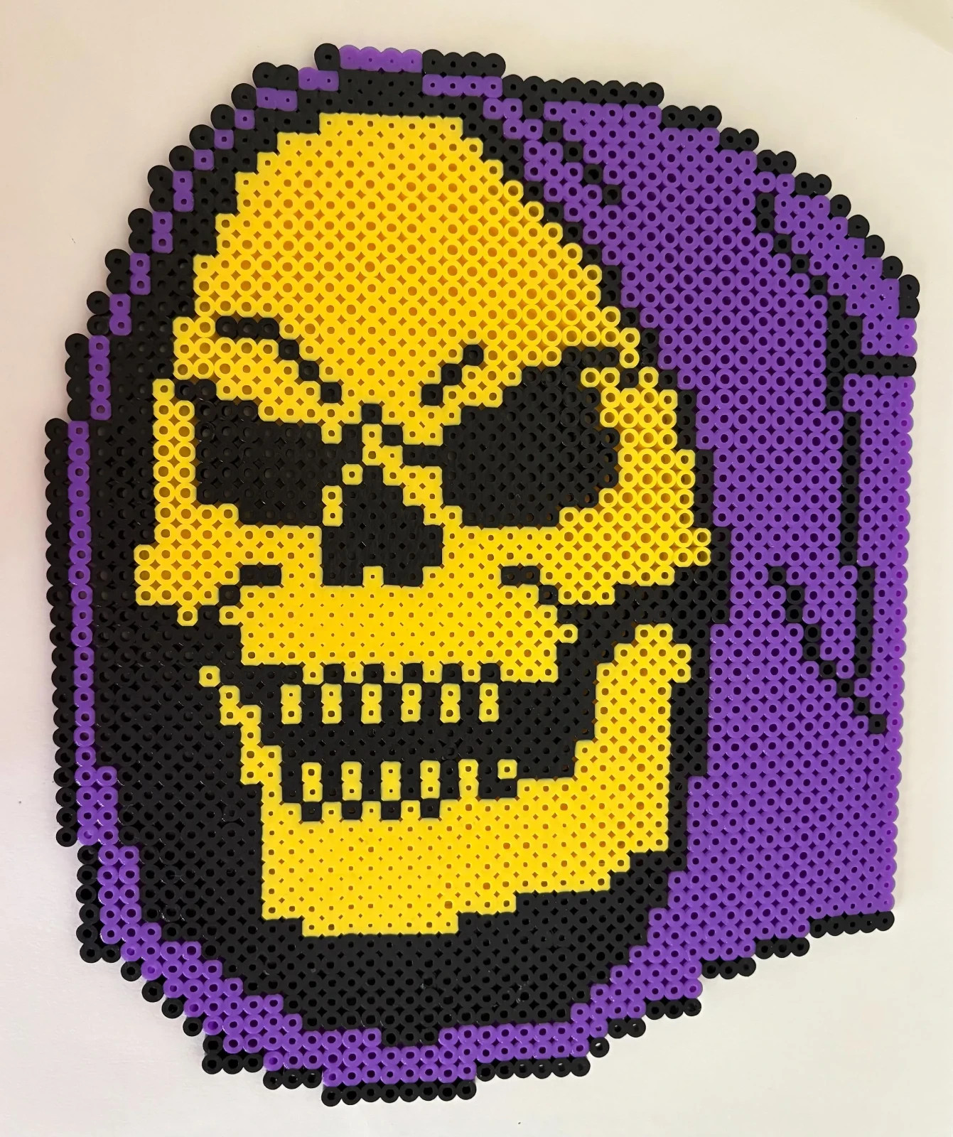 Skeletor He-Man Masters of the Universe MOTU Inspired Perler Bead Art 10"x8.5"