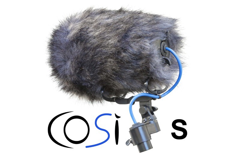 Cinela COSI-S-19 Windshield