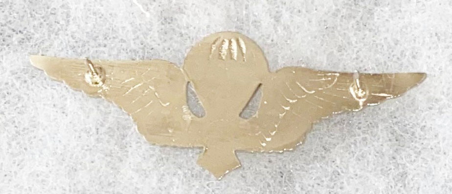 Korean UNPIK Para Airborne Wing Badge