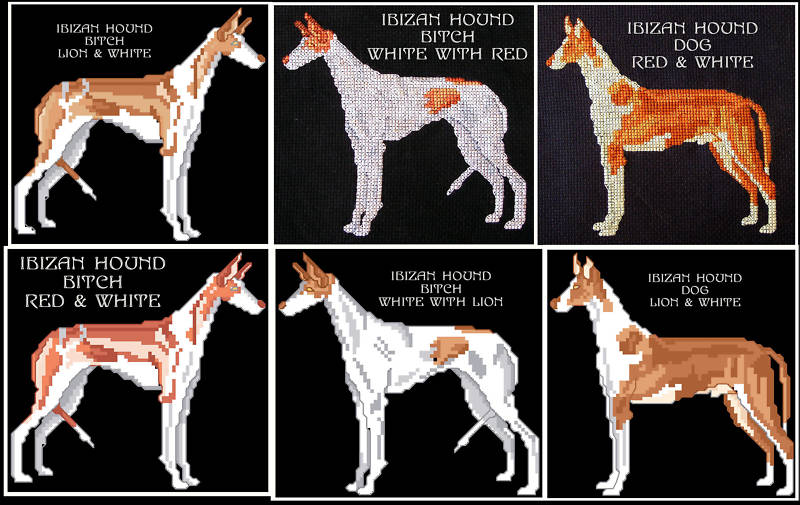IBIZAN HOUND COUNTED CROSS STITCH PATTERNS