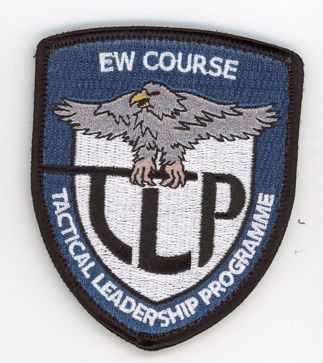 PATCH SPAIN ALBACETE AB TACTICAL LEADRESHIP PROGRAMME DOU VEL BACK EW COURSE