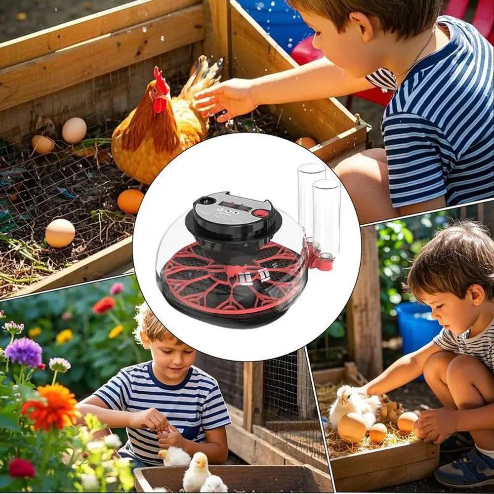12 Egg Automatic Turning Chicken Hatcher Incubators Stable Temperature Incubator