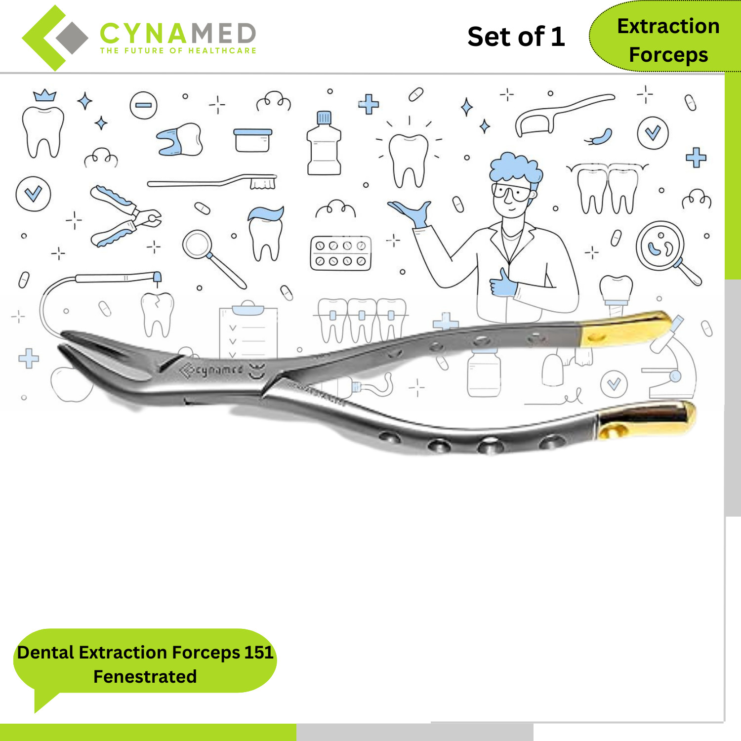 Cynamed Dental Extraction Forceps 151 Fenestrated Premium German Stainless Steel