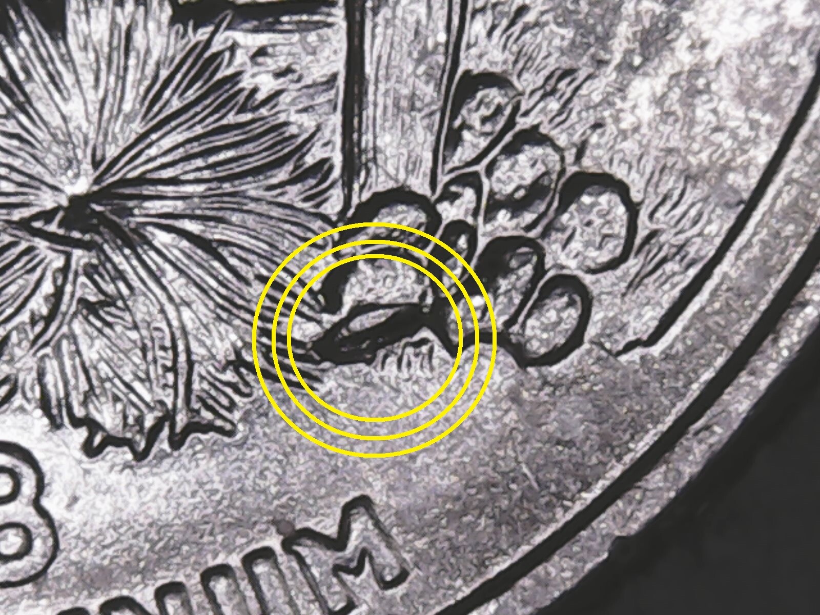 2008 P Arizona State Quarter with Die Chips.