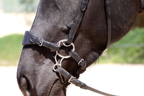 Bitless Bridle Bitless Bit
