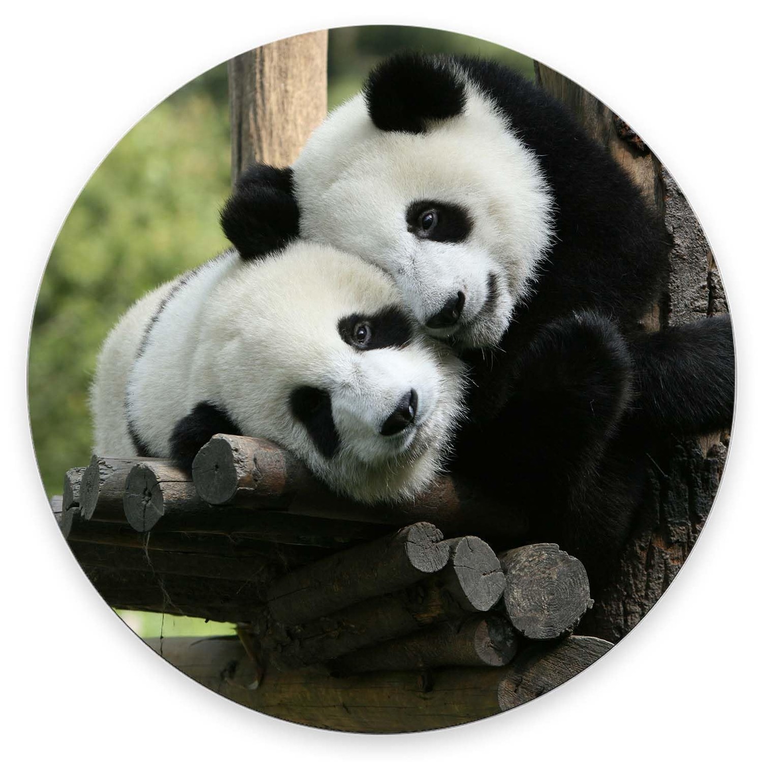 Mouse Pad, Panda Bears Mouse Pad, Washable Round Cloth Mousepad for Gaming Of...