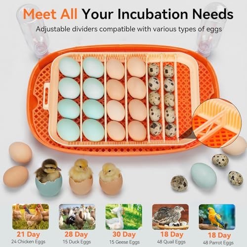 Incubators for Hatching Eggs, Egg Incubator with Automatic Egg Turning and Humid