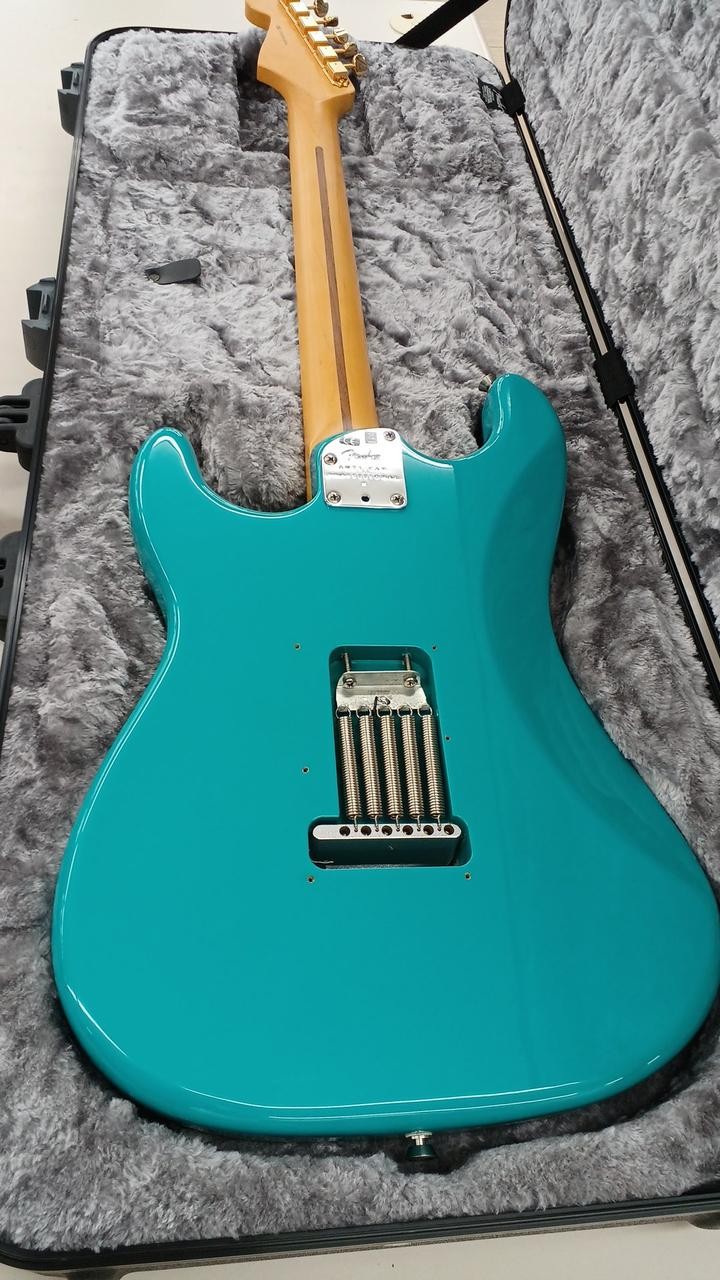 FENDER AM PROⅡ STRATOCASTER Stratocaster