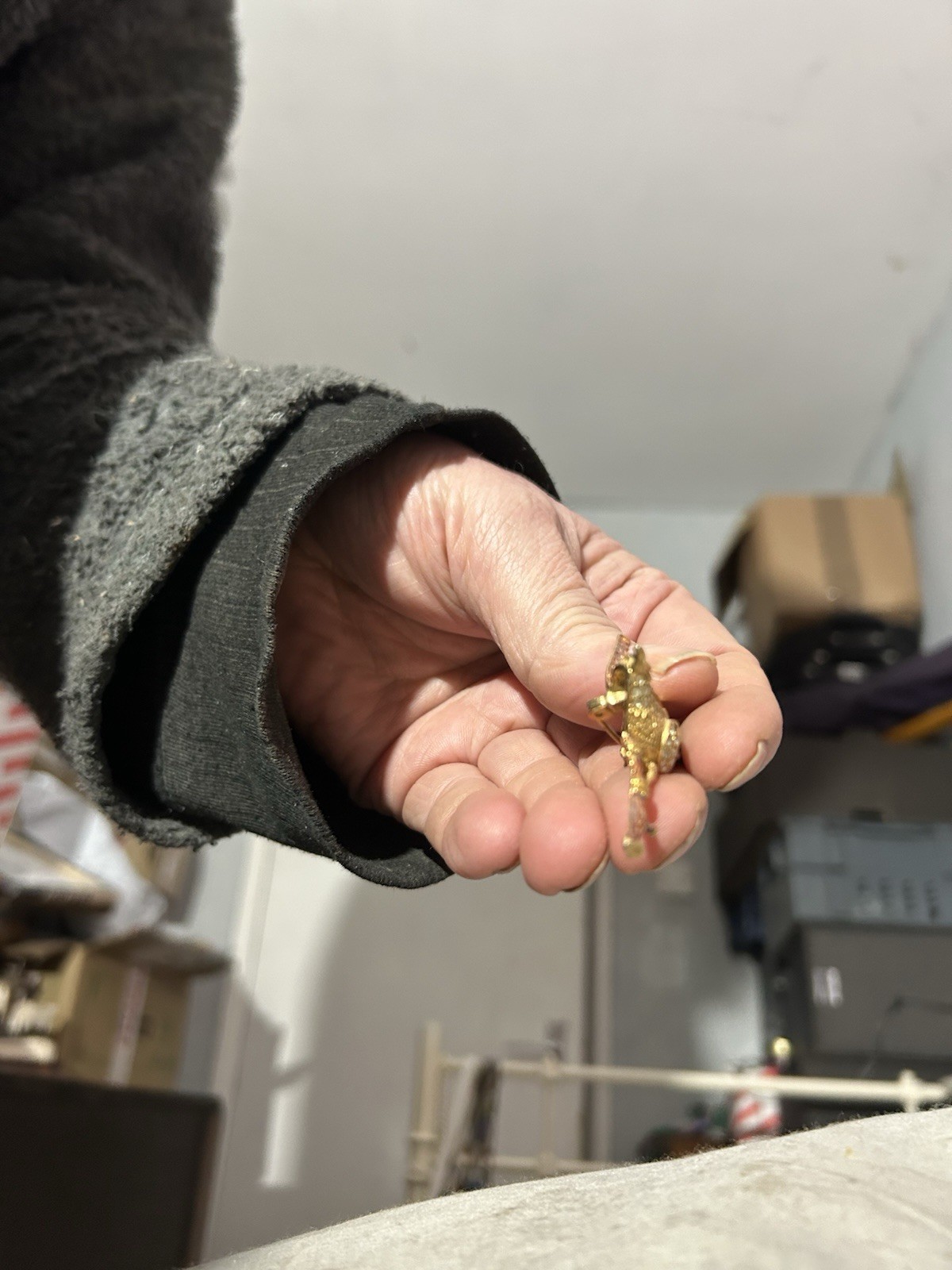 Gold Plated Enamel And Crystal Brooch